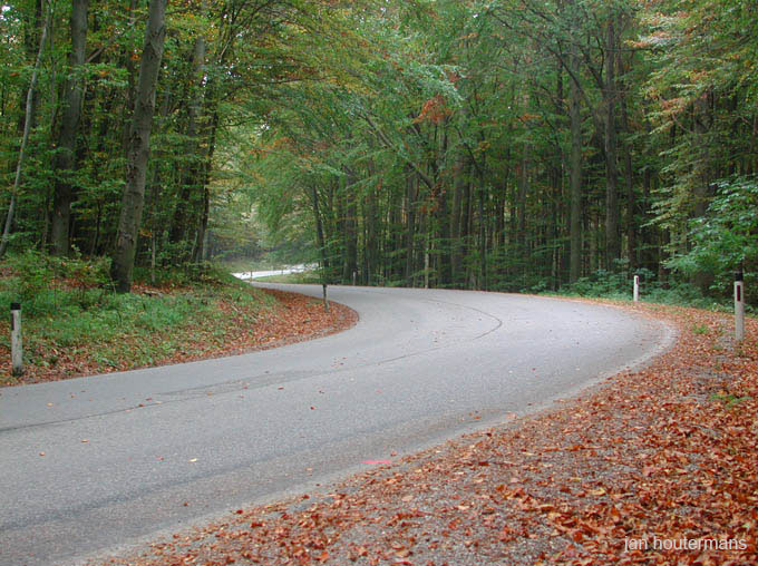wienerwald_007