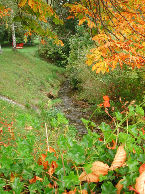 wienerwald_011