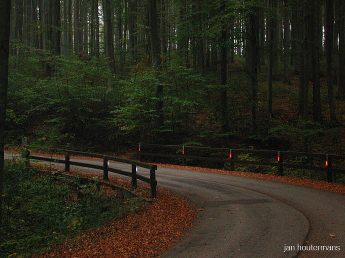 wienerwald_013