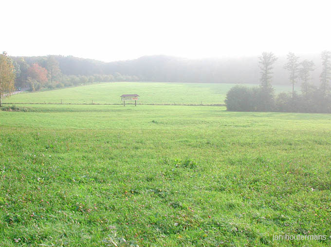 wienerwald_041