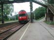 wienerwald_001