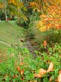 wienerwald_011