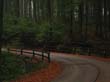 wienerwald_013