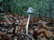 wienerwald_021