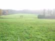 wienerwald_041