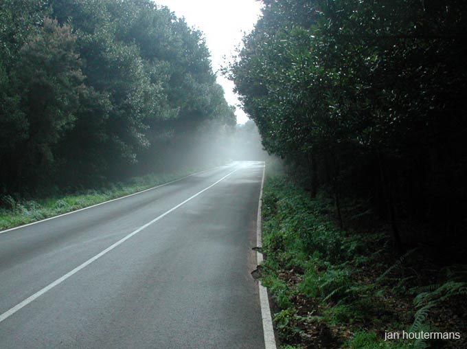 lagomera_2002_1_15