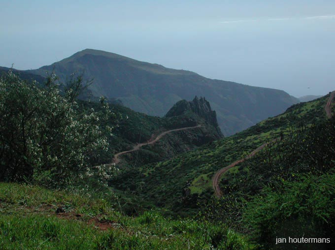 lagomera_2002_1_19