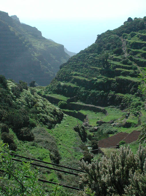 lagomera_2002_1_22