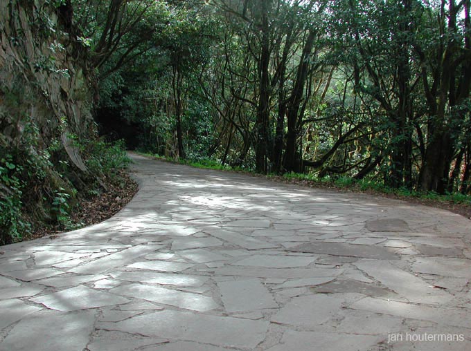 lagomera_2002_2_06