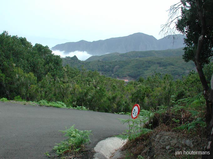 lagomera_2002_2_08