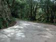 lagomera_2002_2_06