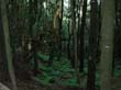 lagomera_2002_2_07