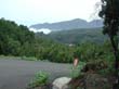 lagomera_2002_2_08