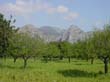 mallorca_2003_02_001