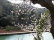 mallorca_2003_02_025