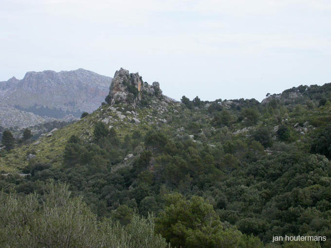 mallorca_2003_04_011