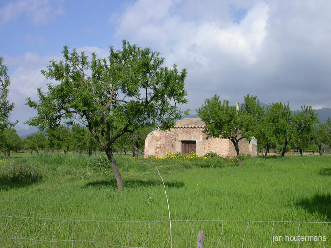 mallorca_2003_05_001