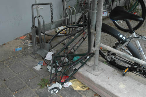 radleiche_0025