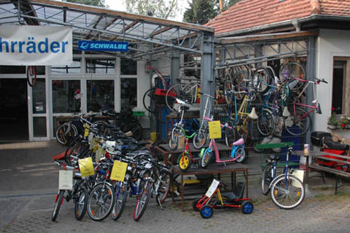 radleiche_0034