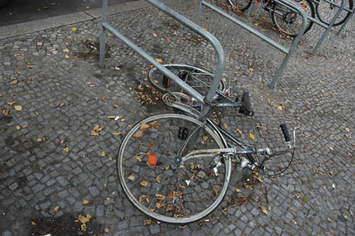 radleiche_0042