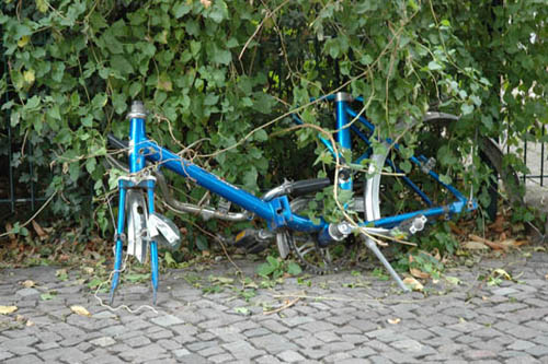 radleiche_0047