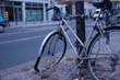 radleiche_0013