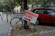 radleiche_0014