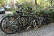 radleiche_0017