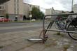 radleiche_0018