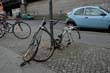 radleiche_0021