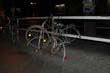 radleiche_0036