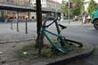 radleiche_0043