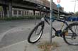 radleiche_0045
