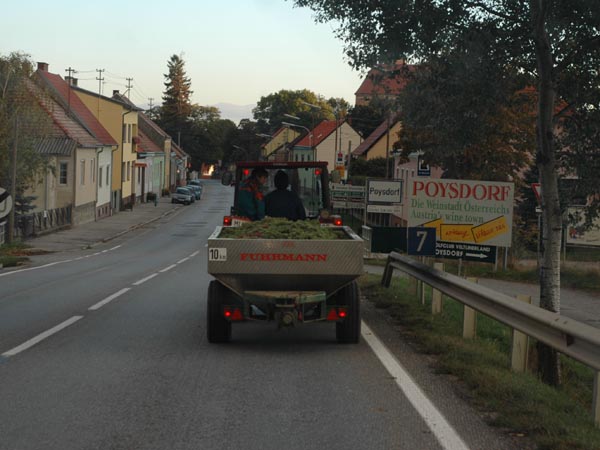 olsany36