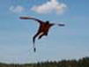 kite15