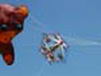 kite16