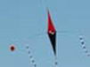 kite27
