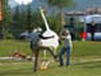people06