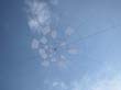 cervia06_06