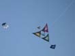cervia06_07