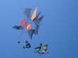 cervia06_09