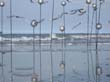 cervia06_32