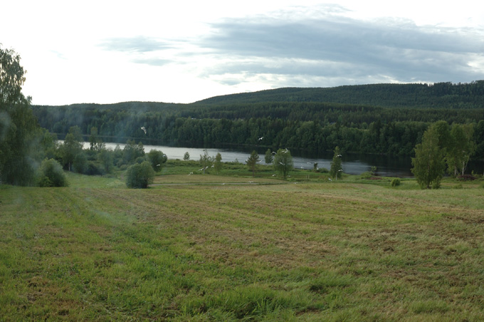 faerila_066