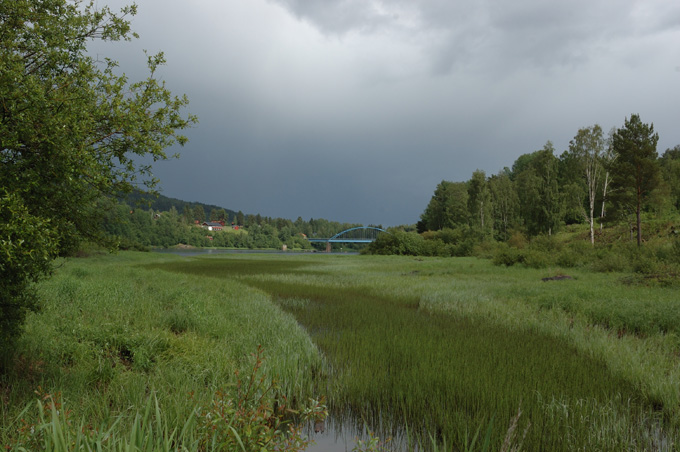 faerila_076