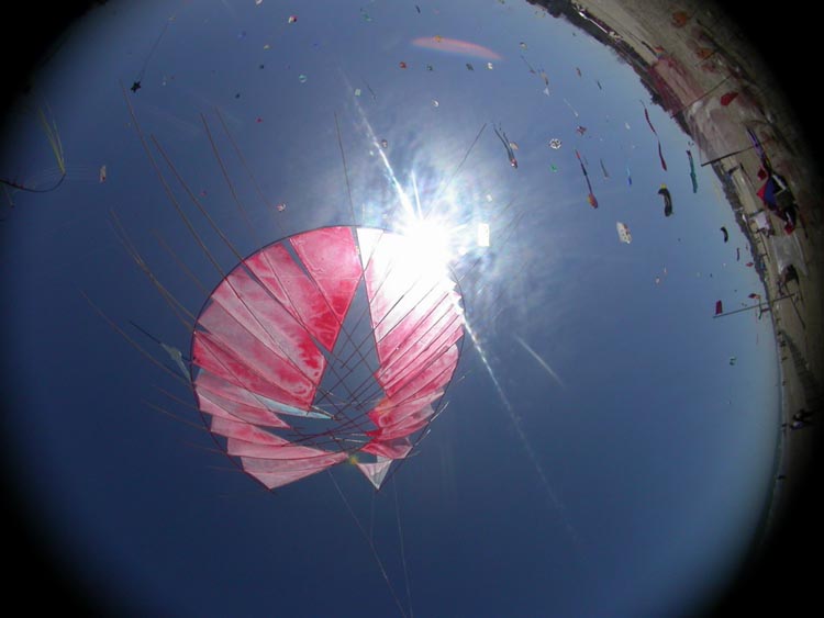 cervia05-10