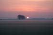 cervia05-03