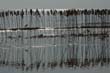 cervia05-07