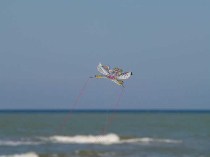 cervia_2007_013