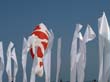 cervia_2007_022