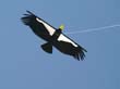 cervia_2007_035